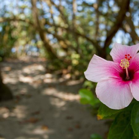 Gitana Del Mar Beach Retreat بوريتاكا المظهر الخارجي الصورة